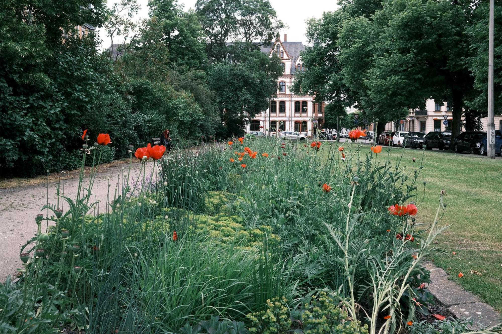 Apartment Schickes In Direkt Am Roemerplatz *